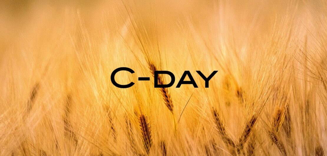 C-Day Summer Field