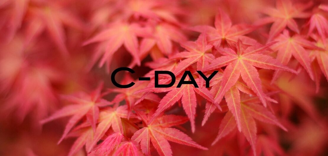 C-Day Maple